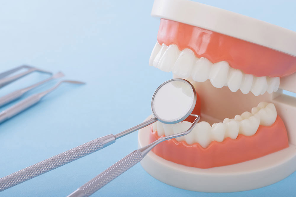 メインテナンス・定期検診